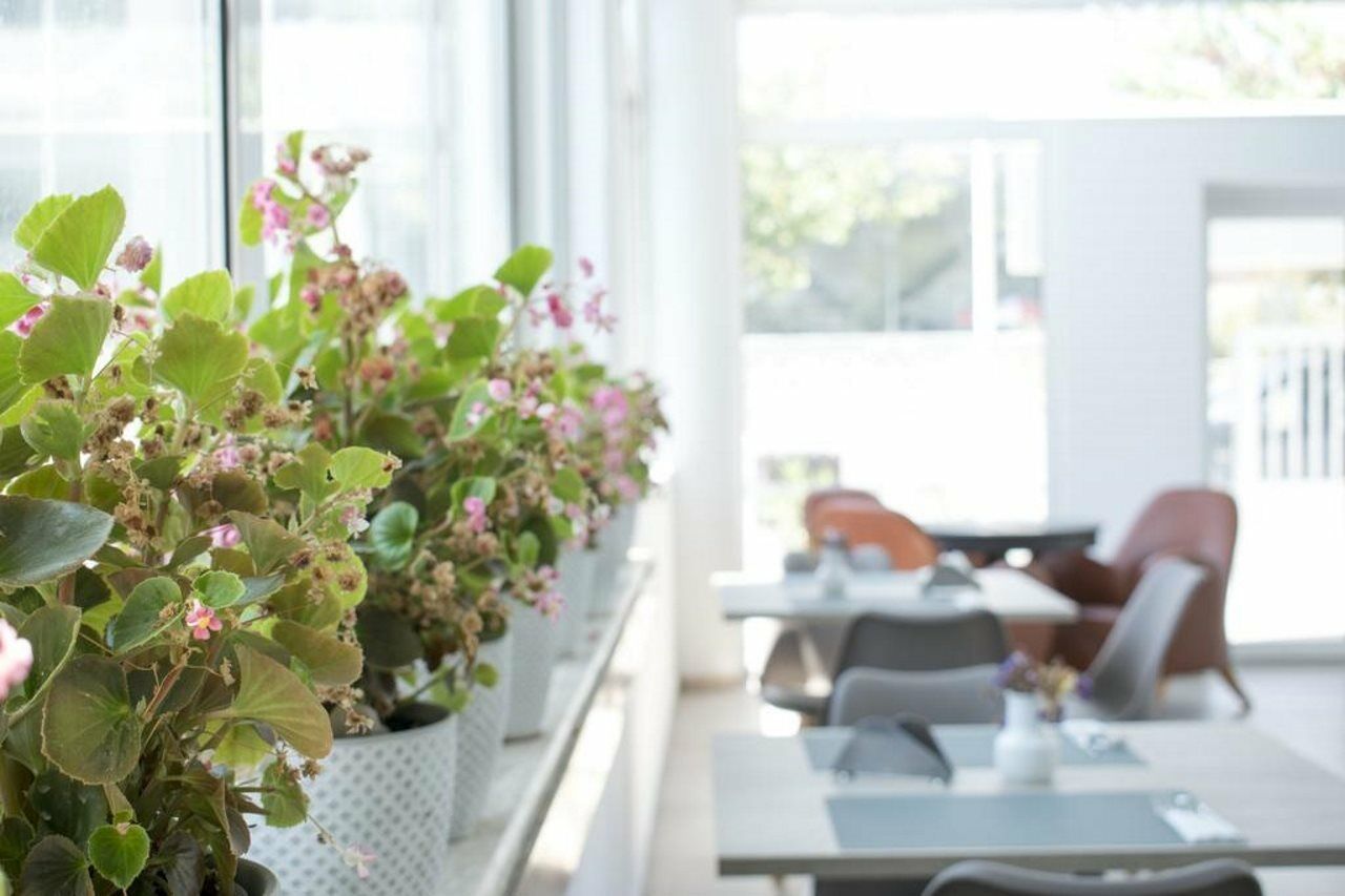 Anastasia Hotel & Apartments Кос Екстер'єр фото
